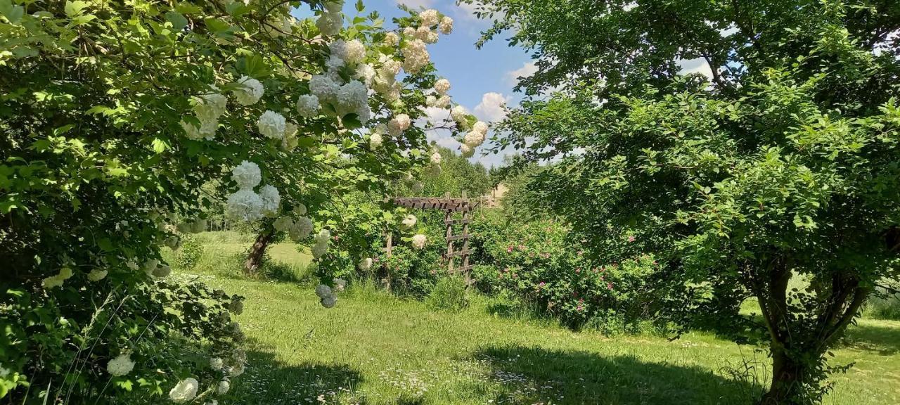 Dom Goscinny Lerka - 240 M2 Mazury Jeziora Lasy Lakorz المظهر الخارجي الصورة