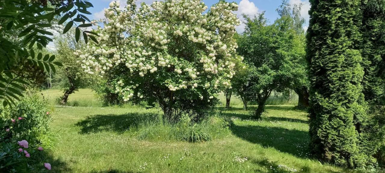 Dom Goscinny Lerka - 240 M2 Mazury Jeziora Lasy Lakorz المظهر الخارجي الصورة
