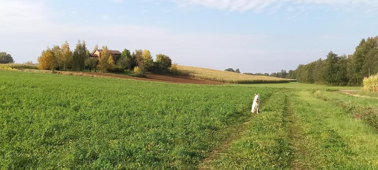 Dom Goscinny Lerka - 240 M2 Mazury Jeziora Lasy Lakorz المظهر الخارجي الصورة
