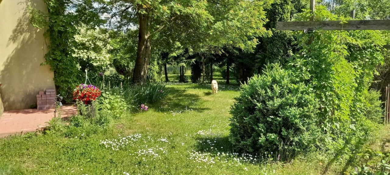 Dom Goscinny Lerka - 240 M2 Mazury Jeziora Lasy Lakorz المظهر الخارجي الصورة